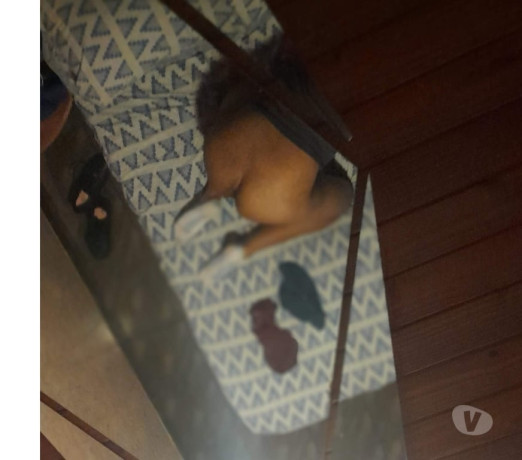 putinha-gostosa-itapema-sc-orgias-menage-e-sexo-melhor-oferta-santa-catarinaitapema-em-santa-catarinaitapema-big-0