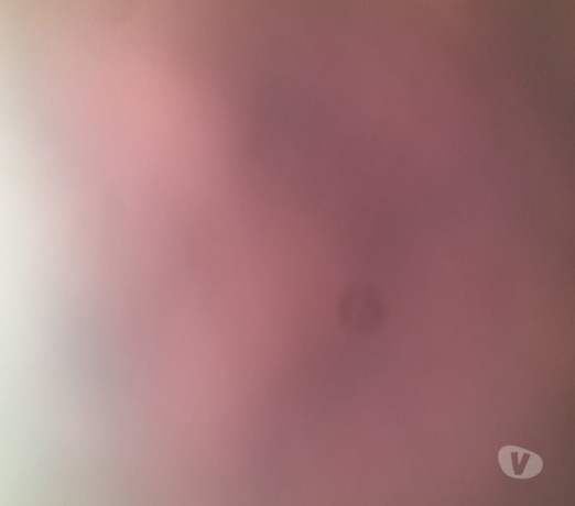 procuro-diversao-com-mulheres-ou-casais-santa-mari-premium-em-distrito-federalsanta-em-distrito-federalsanta-garantia-big-0