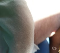 encontros-casuais-trindade-go-orgias-menage-e-s-formas-de-pagamento-oportunidade-unica-r-200-em-formas-de-pagamento-r-200-big-1