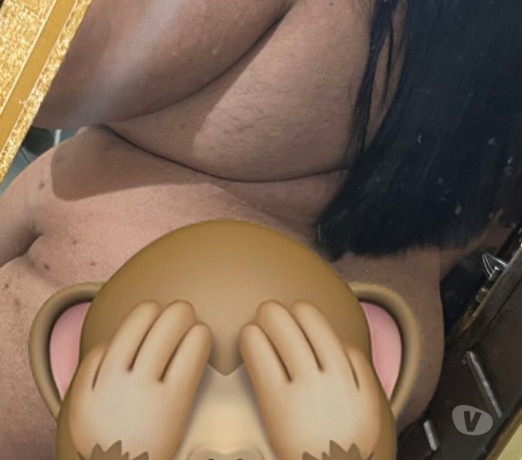 urso-gordinho-melhor-oferta-parabelem-entroncamento-em-parabelem-entroncamento-entrega-imediata-big-1