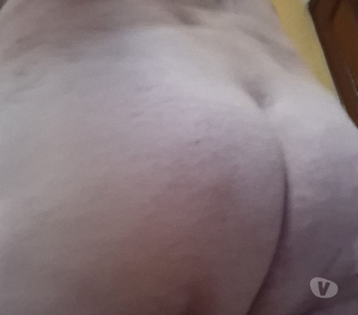 2-amigos-com-local-queremos-mais-um-porto-alegre-n-em-rio-grande-produtoservico-com-certificacao-de-selecionado-garantia-big-0