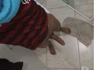 comedor-discreto-jundiai-sp-orgias-menage-e-sex-sao-paulo-oportunidade-unica