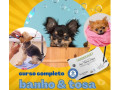 curso-online-banho-e-tosa-taubate-sp-cursos-tecn-premium-em-sao-paulo-r-15990-r-15990-garantia-small-2