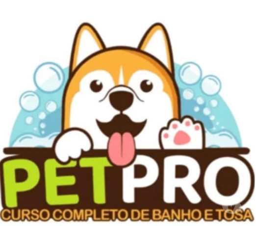 curso-online-banho-e-tosa-taubate-sp-cursos-tecn-premium-em-sao-paulo-r-15990-r-15990-garantia-big-0