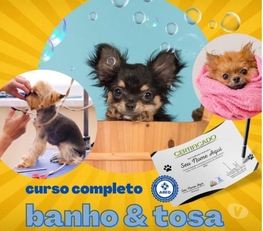 curso-online-banho-e-tosa-taubate-sp-cursos-tecn-premium-em-sao-paulo-r-15990-r-15990-garantia-big-2