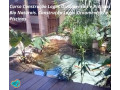 curso-construcao-lago-ornamentais-aulas-online-cer-premium-em-paranaaraucaria-r-17900-em-paranaaraucaria-r-17900-small-3