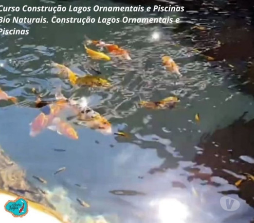 curso-construcao-lago-ornamentais-aulas-online-cer-premium-em-paranaaraucaria-r-17900-em-paranaaraucaria-r-17900-big-1