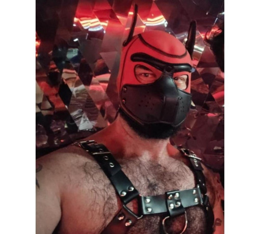 minotauro-macho-alpha-jardim-paulista-acompanhan-sao-paulo-oportunidade-unica-oportunidade-unica-big-1