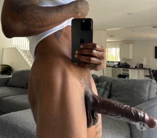 pantera-negra-sigiloso-27cm-manaus-am-acompanhan-em-amazonasmanaus-qualidade-garantida-com-otimo-custo-beneficio-em-amazonasmanaus-negociavel-big-0