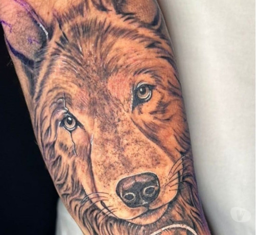 desejo-misterio-atracao-e-conexao-canoas-rs-premium-em-rio-grande-condicao-especial-big-2