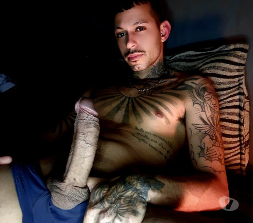 mika-dotado-novo-na-cidade-caxias-do-sul-rs-acom-premium-em-rio-grande-big-0