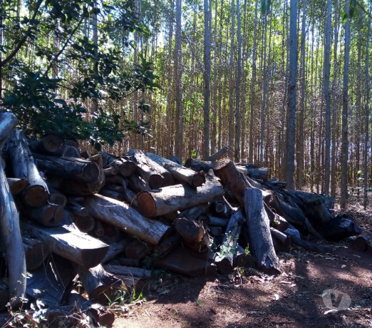 carvao-de-eucalipto-sao-simao-sp-adubos-e-fertil-de-premium-em-sao-paulo-r-2700-r-2700-garantia-big-2