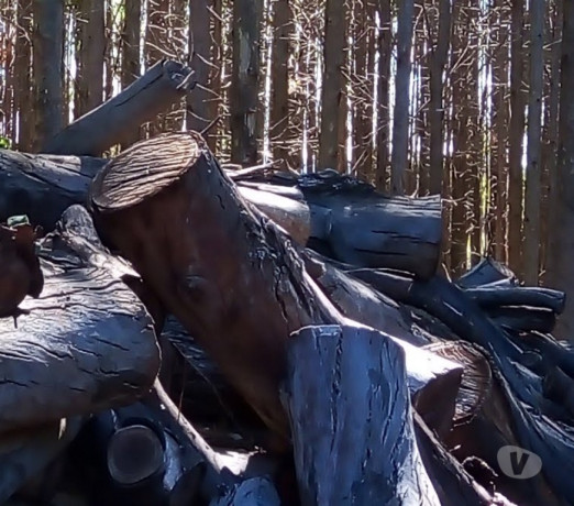 carvao-de-eucalipto-sao-simao-sp-adubos-e-fertil-de-premium-em-sao-paulo-r-2700-r-2700-garantia-big-1