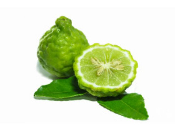 limao-kaffir-essencia-aroma-natural-cozinha-temper-melhor-oferta-sao-paulo-entrega-imediata-big-1