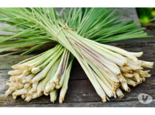 aroma-essencia-sabor-cozinha-receita-molhos-moema-premium-em-sao-paulo-r-5700-r-5700-big-4