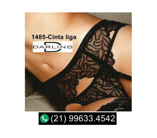 trio1450-tangavermelha1452-tangapreta-e-1485-de-premium-em-rio-de-oportunidade-unica-big-2