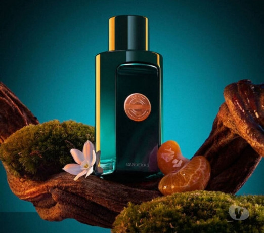 vendo-perfumes-masculino-tiete-sp-cosmeticos-a-v-sao-paulo-oportunidade-unica-r-12000-r-12000-big-0