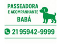 dogantonio-elizeu-formacao-cao-ativo-copacaba-de-qualidade-em-formas-de-pagamento-r-500-em-formas-de-pagamento-r-500-negociavel-small-0
