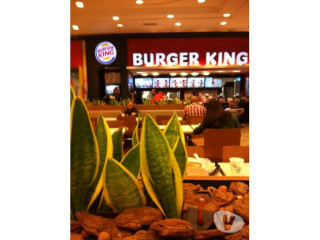 servicos-de-paisagismo-plantas-vasos-arranjos-m-melhor-oferta-sao-paulo-entrega-imediata