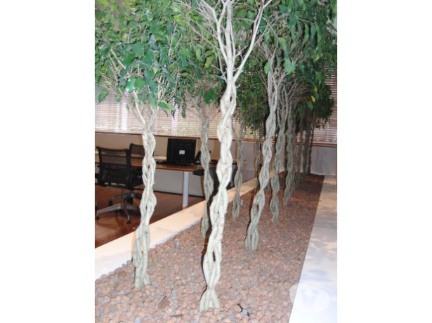 servicos-de-paisagismo-plantas-vasos-arranjos-m-melhor-oferta-sao-paulo-entrega-imediata-big-4