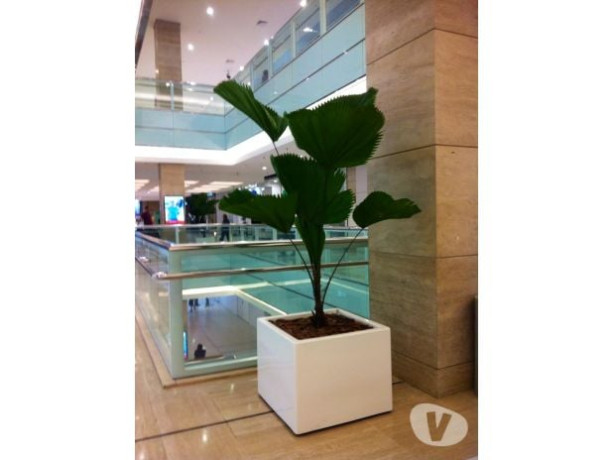 servicos-de-paisagismo-plantas-vasos-arranjos-m-melhor-oferta-sao-paulo-entrega-imediata-big-1