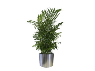 manutencao-hidrocultura-plantas-paisagismo-vasos-j-premium-em-sao-paulo