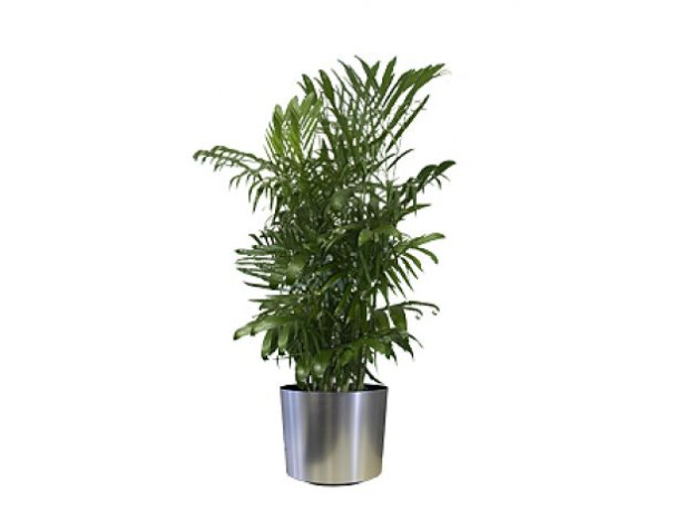 manutencao-hidrocultura-plantas-paisagismo-vasos-j-premium-em-sao-paulo-big-0