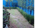 jardinagem-paisagismo-santo-amaro-servicos-espec-em-sao-paulo-produtoservico-com-certificacao-de-qualidade-condicao-especial-small-4