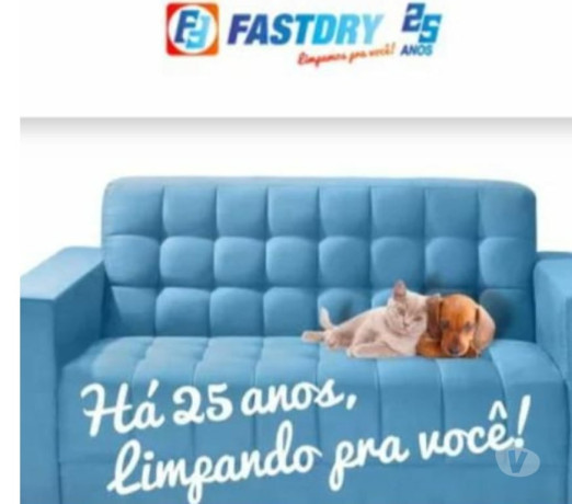 limpeza-de-sofas-tapetes-colchoes-cadeiras-edr-de-qualidade-em-rio-grande-condicao-especial-big-0