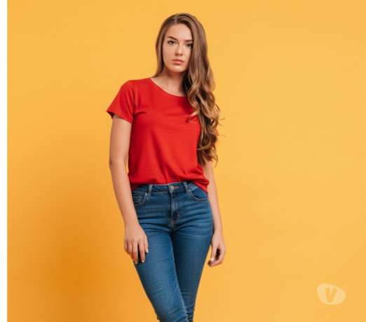 troca-de-roupa-com-ia-santo-amaro-servicos-espec-de-qualidade-em-sao-paulo-big-2