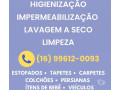 limpeza-e-higienizacao-de-estofados-araraquara-sp-melhor-oferta-sao-paulo-small-2