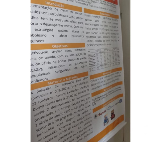 banner-para-congresso-90x120-cm-assistente-socia-de-selecionado-em-bahiasalvador-centro-r-12000-em-bahiasalvador-centro-r-12000-negociavel-big-1