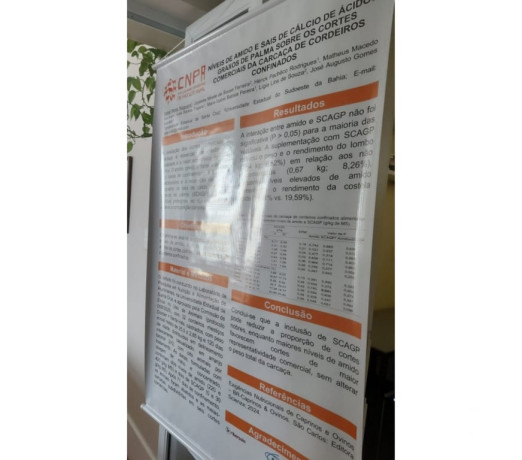 banner-para-congresso-90x120-cm-assistente-socia-de-selecionado-em-bahiasalvador-centro-r-12000-em-bahiasalvador-centro-r-12000-negociavel-big-0