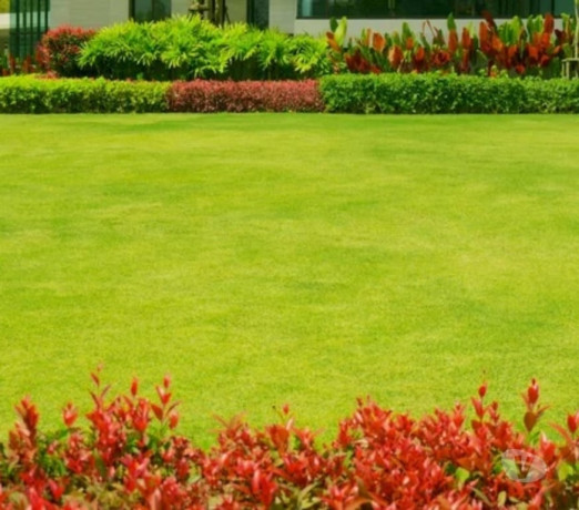 servicos-de-jardinagem-e-limpeza-de-piscina-em-ibi-em-sao-paulo-melhor-preco-da-regiao-com-condicoes-especiais-big-0