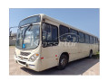 onibus-marcopolo-torino-g7-vw-17230-eod-36lcod696a-melhor-oferta-paranacuritiba-boqueirao-em-paranacuritiba-boqueirao-oportunidade-unica-small-1