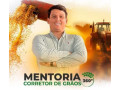 mentoria-corretor-de-graos-360-dourados-ms-curso-mato-grosso-oportunidade-unica-condicao-especial-small-0