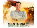 mentoria-corretor-de-graos-360-rio-brilhante-ms-premium-em-mato-grosso-garantia-small-0