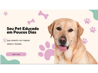 como-ensinar-seu-cao-a-fazer-as-necessidades-no-lu-de-selecionado-em-bahiateofilandia-em-bahiateofilandia