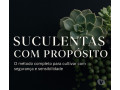suculentas-com-proposito-londrina-pr-cursos-de-qualidade-em-paranalondrina-em-paranalondrina-small-0