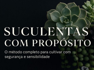 suculentas-com-proposito-londrina-pr-cursos-de-qualidade-em-paranalondrina-em-paranalondrina