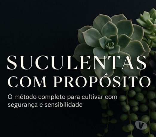 suculentas-com-proposito-londrina-pr-cursos-de-qualidade-em-paranalondrina-em-paranalondrina-big-0