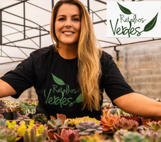 suculentas-com-proposito-londrina-pr-cursos-de-qualidade-em-paranalondrina-em-paranalondrina-big-3