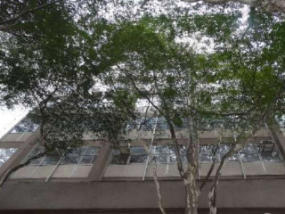 excelente-em-sao-paulo-otima-oportunidade