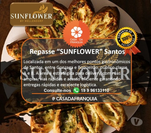 repasse-franquia-sunflower-by-wellendorf-deliv-sao-paulo-oportunidade-unica-big-0