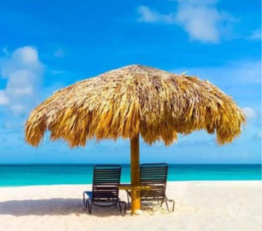 a-procura-de-uma-namorada-buritis-belo-horizonte-premium-em-minas-geraisbelo-em-minas-geraisbelo-big-0