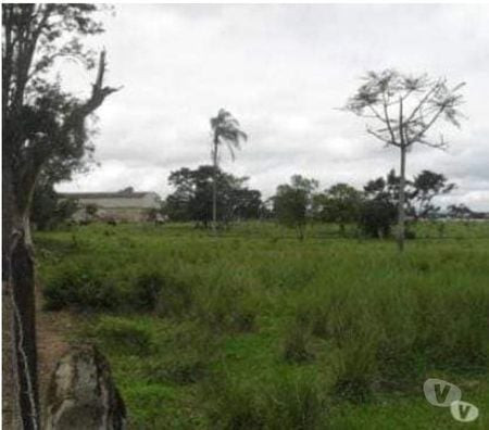 excelente-area-de-6450-m2-no-quiririm-taubate-tau-melhor-oferta-sao-paulo-r-142000000-r-142000000-oportunidade-unica-big-1