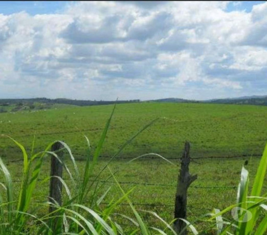 disponivel-sao-paulo-condicoes-especiais-big-4