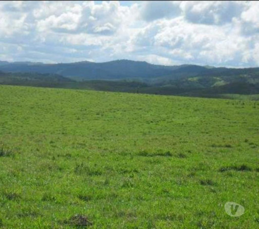 disponivel-sao-paulo-condicoes-especiais-big-2