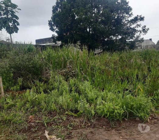 novidade-em-sao-paulo-localizacao-privilegiada-entrega-imediata-big-1