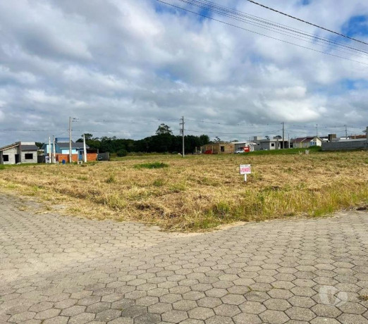 oportunidade-em-santa-catarinajaguaruna-conservado-em-santa-catarinajaguaruna-big-0